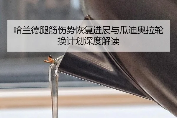 ha-lan-de-tui-jin-shang-shi-hui-fu-jin-zhan-yu-gua-di-ao-la-lun-huan-ji-hua-shen-du-jie-du-3-248.jpg