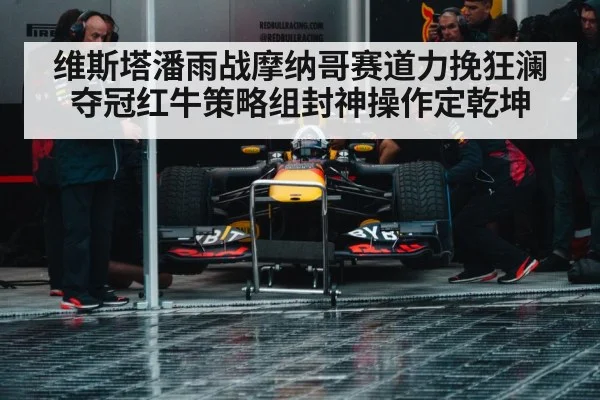 Red Bull pit stop strategy