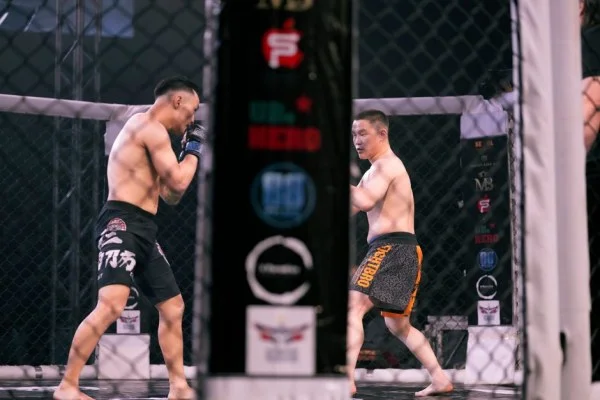 octagon cage fight